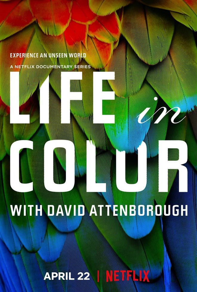 Life in Color with David Attenborough (Netflix) Poster