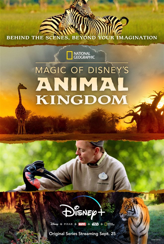 Magic of Disney's Animal Kingdom Large Poster