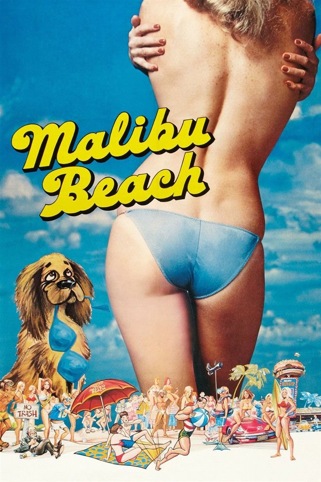 Malibu Beach Poster