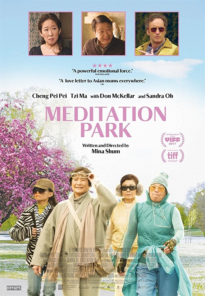 Meditation Park Large Poster