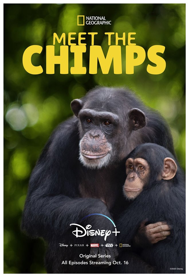 Meet the Chimps (Disney+) Poster