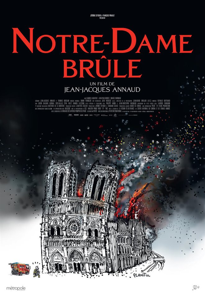 Notre-Dame on Fire Poster