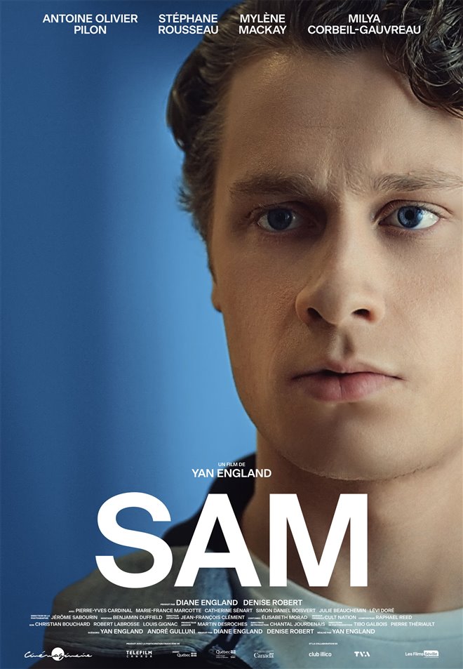 Sam (v.o.f.) Large Poster