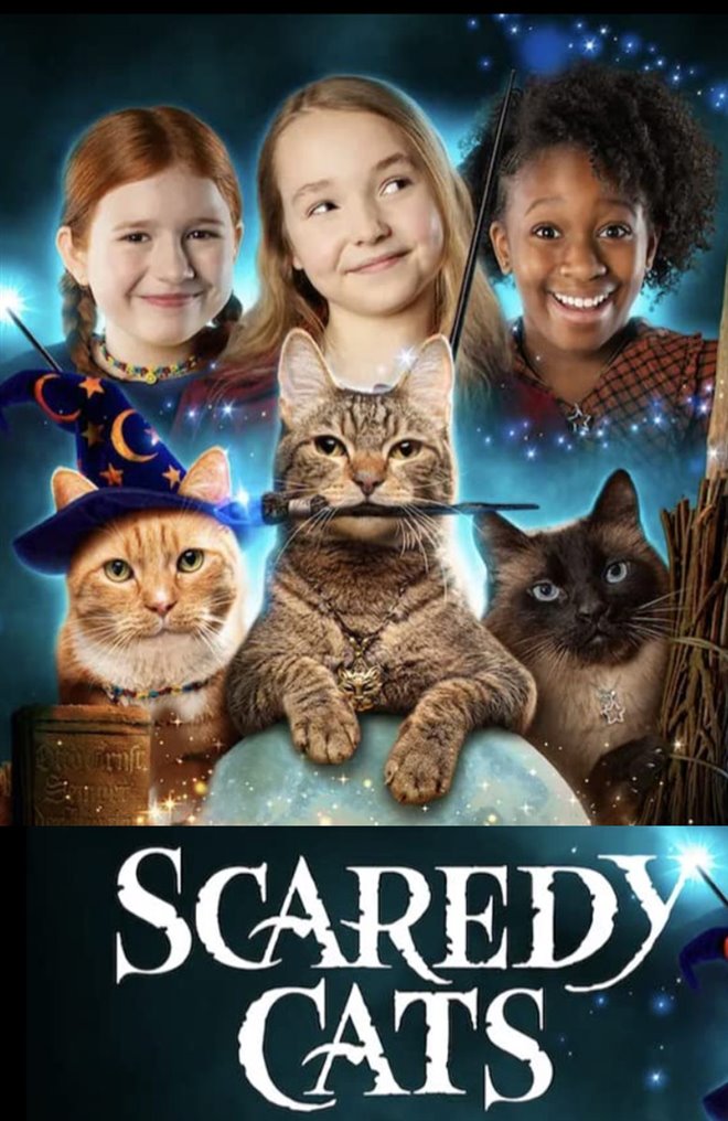Félénk kiscicák *Scaredy Cats* (2021) teljes sorozat, HUNDUB Data Premium Scaredy-cats-netflix-155803