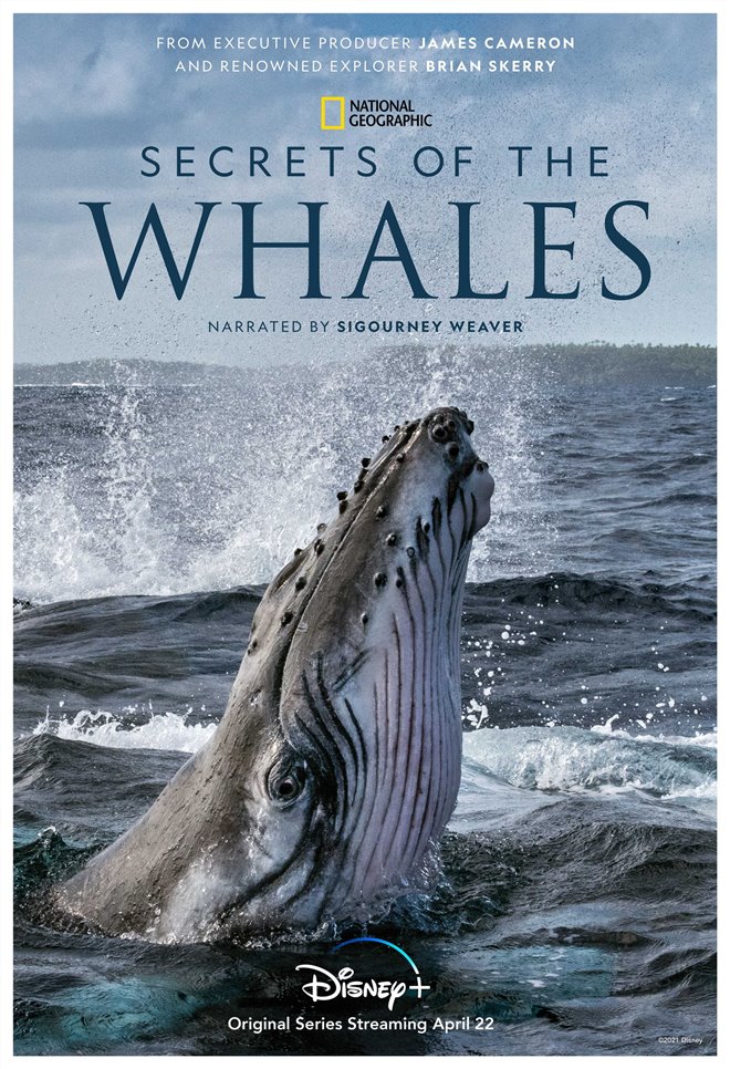 Secrets of the Whales (Disney+) Poster