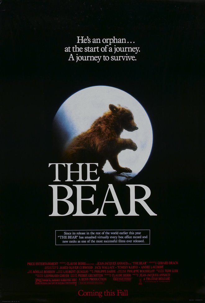 The Bear Large Poster