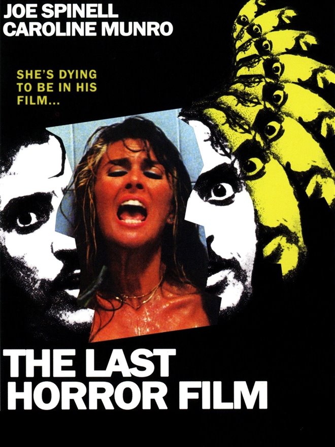 The Last Horror Film Poster