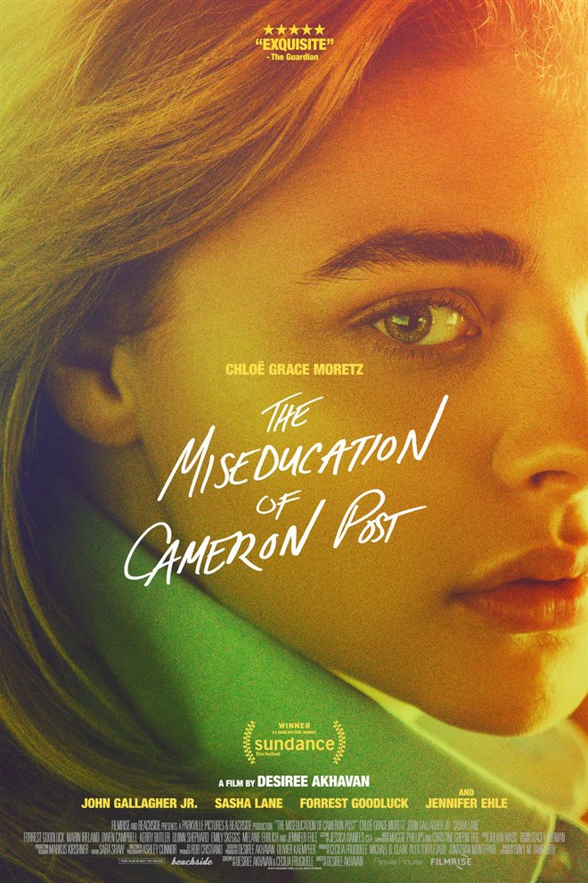 The Miseducation of Cameron Post Large Poster
