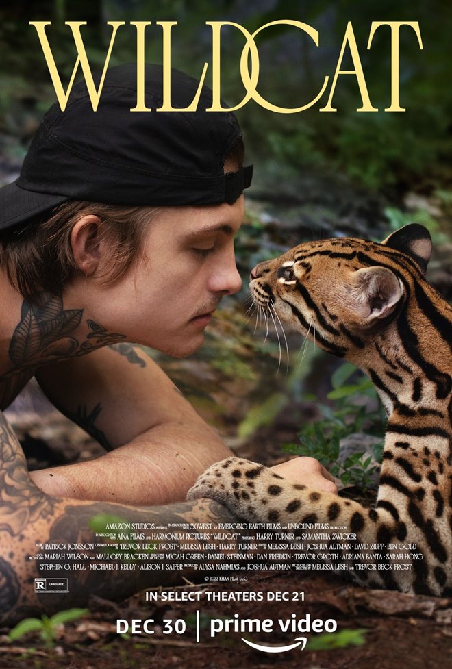 Wildcat (Prime Video) Poster