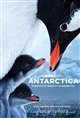 Antarctica Poster