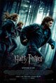 Harry Potter and the Deathly Hallows: Part 1 Poster