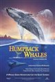 Humpback Whales 3D Poster