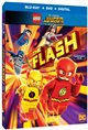 LEGO DC Comics Super Heroes: The Flash Movie Poster