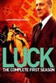 Luck (Hindi) Movie Poster