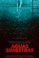 Night Swim (Dubbed in Spanish) Movie Poster