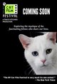 NY Cat Film Festival Program 2 Poster