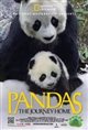 Pandas: The Journey Home 3D Poster
