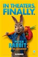 Peter Rabbit 2: The Runaway Poster