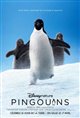 Pingouins Poster