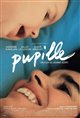 Pupille Poster