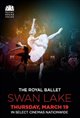 Royal Ballet: Swan Lake Poster