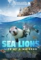 Sea Lions: Life by a Whisker Poster