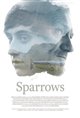 Sparrows Poster