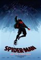 Spider-Man: Into the Spider-Verse 3D Poster