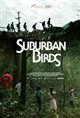 Suburban Birds Poster