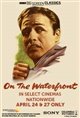 TCM Presents On the Waterfront (1954) Poster