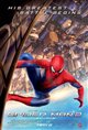 The Amazing Spider-Man 2 3D Poster