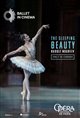 The Sleeping Beauty (Paris Opera) poster