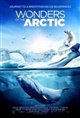 Wonders of the Arctic Poster