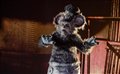 SCREAMBOAT Trailer Video Thumbnail