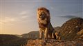 'The Lion King' Trailer Video Thumbnail