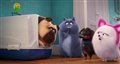 'The Secret Life of Pets 2' Trailer Video Thumbnail