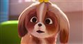 'The Secret Life of Pets 2' - The Daisy Trailer Video Thumbnail