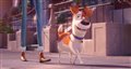 'The Secret Life of Pets 2' - The Max Trailer Video Thumbnail