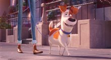'The Secret Life of Pets 2' - The Max Trailer Video