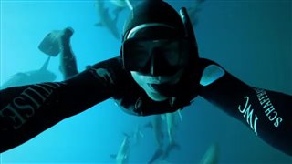 Tribute to Rob Stewart - Clip video