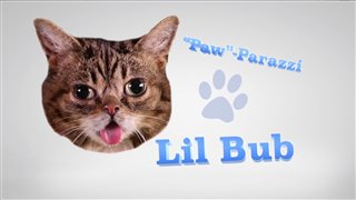 Nine Lives featurette "Celebrity Cats" Video Thumbnail
