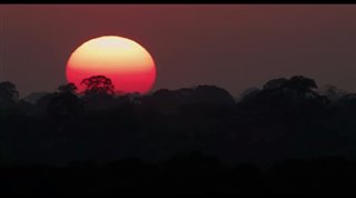 Amazonia Trailer Video Thumbnail
