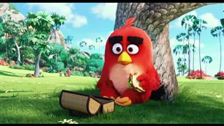 Angry Birds : Le film Trailer Video Thumbnail