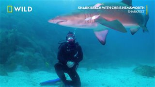 Chris Hemsworth Swims With Sharks