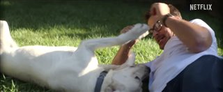 dog-gone-trailer Video Thumbnail