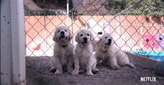 DOGS - Season 1 Trailer Video Thumbnail