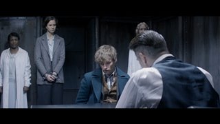 Fantastic Beasts and Where to Find Them Movie Clip - "Setting Dangerous Creatures Loose"