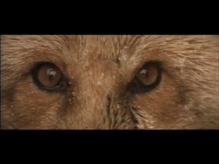 GREY OWL Trailer Video Thumbnail