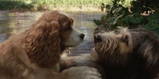 'Lady and the Tramp' Trailer #2 Video Thumbnail