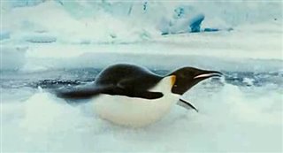 MARCH OF THE PENGUINS Trailer Video Thumbnail